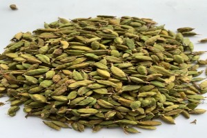 Green Cardamom from Guatemala